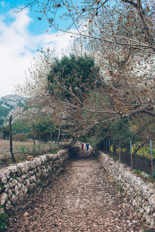 Mallorca in January