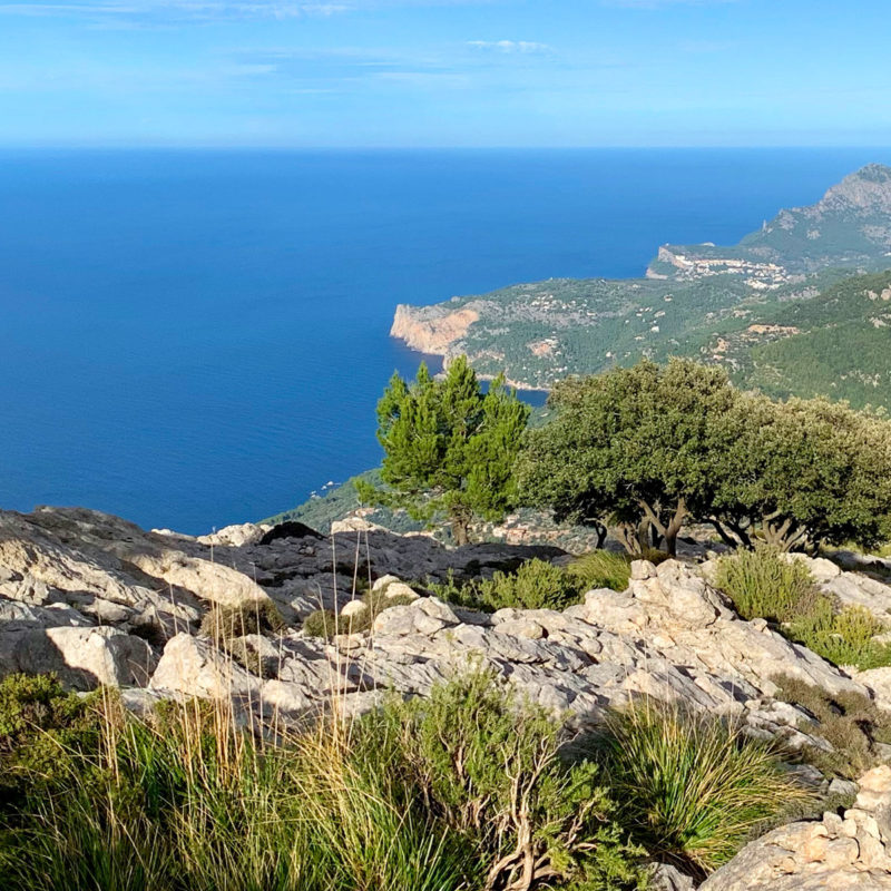 Mallorca in April