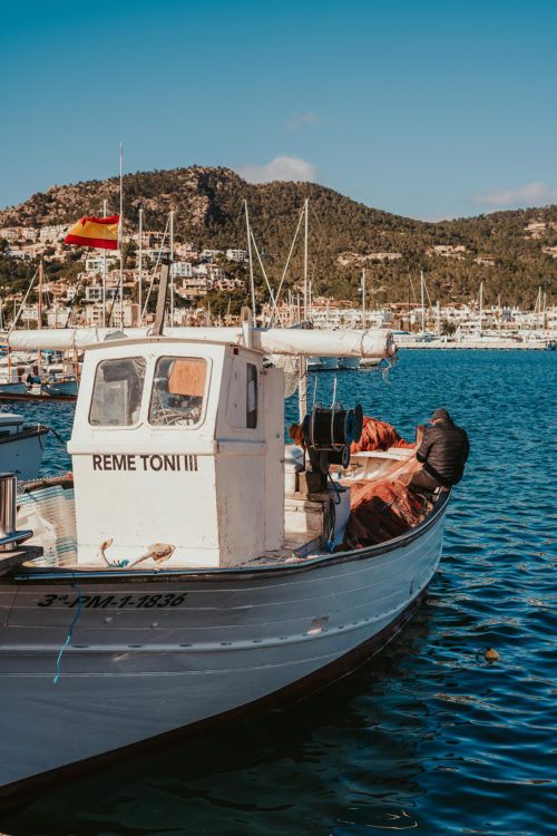 Mallorca in February