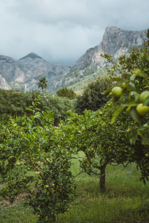 Mallorca in October