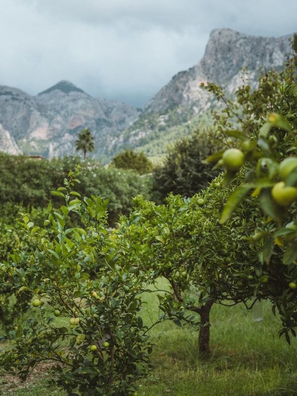 Mallorca in October