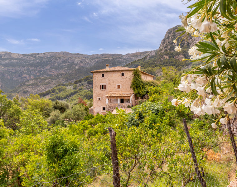 Living Blue property Mallorca