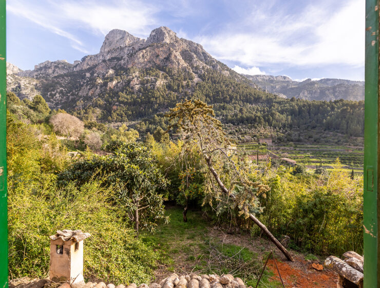 Living Blue property Mallorca