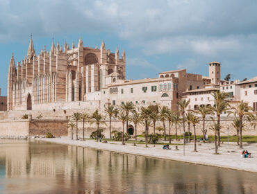 restaurant yachthafen palma de mallorca