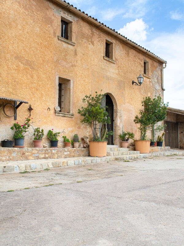 Extraordinary estate with agricultural exploitation in Artà 27