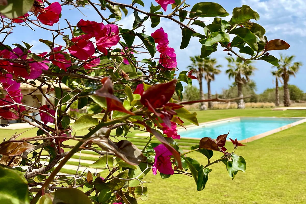 Jardin Baleares