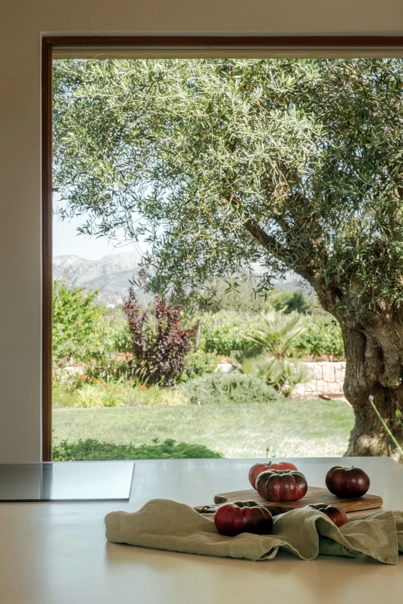 Finca for sale in Binissalem ABC-101678