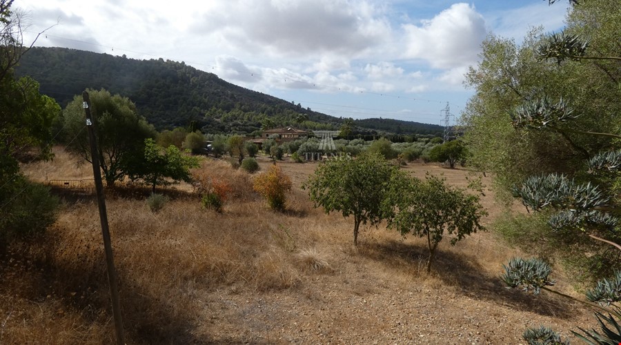 Private 58,000 m2 rural estate for sale in alaró