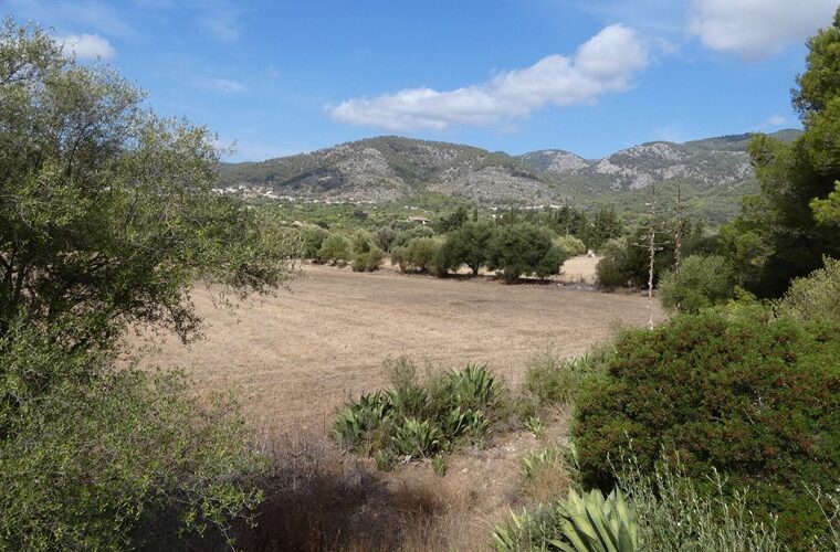 Private 58,000 m2 rural estate for sale in alaró