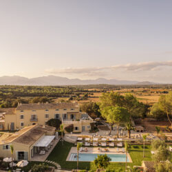 Design led new openings