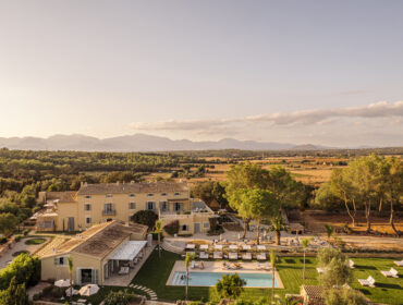 Design led new openings