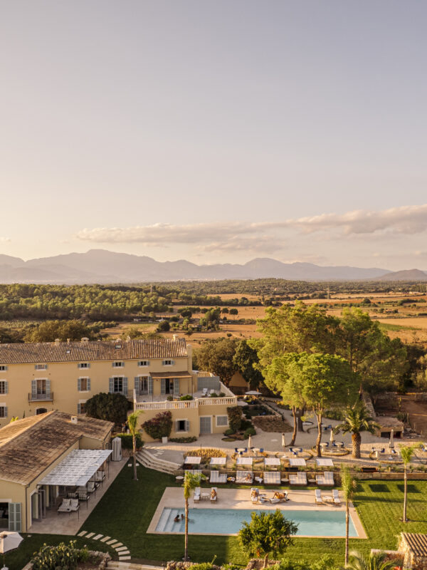 Design led new openings