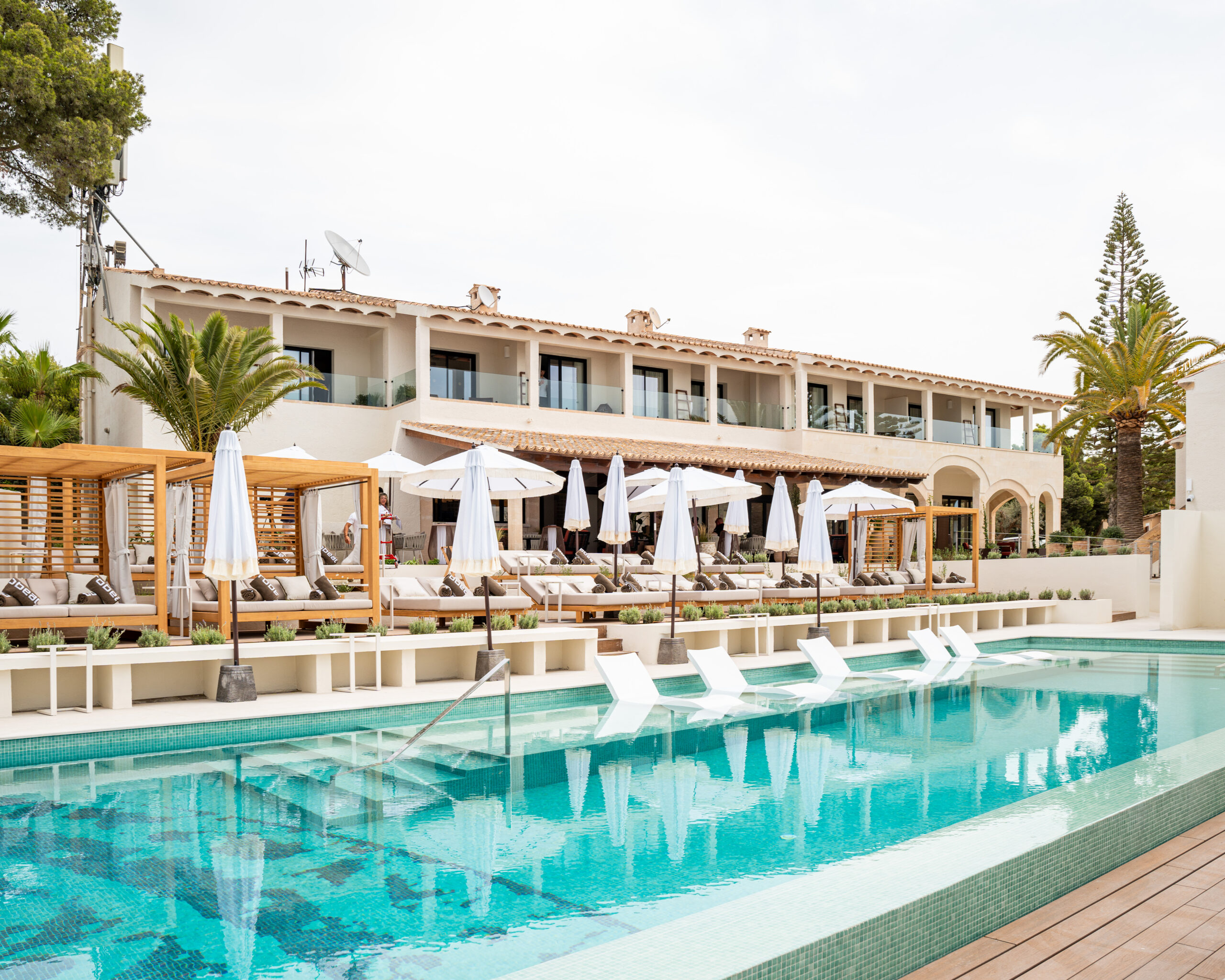 Design led new openings